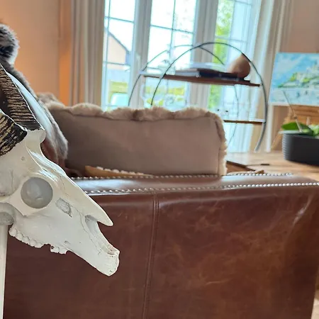 Capsule Champetre Piscine Billard Ferriere-la-Grande