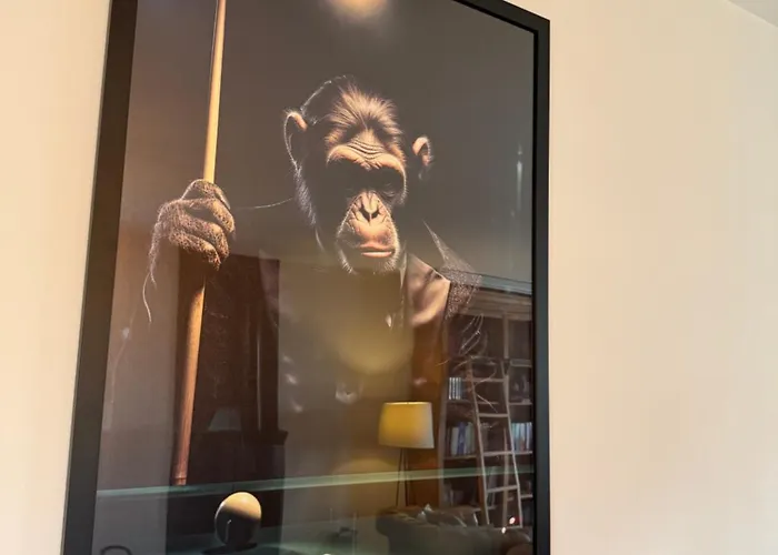 Capsule Champetre Piscine Billard