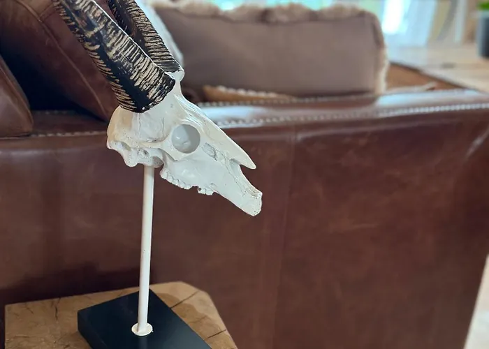 Capsule Champetre Piscine Billard Ferriere-la-Grande