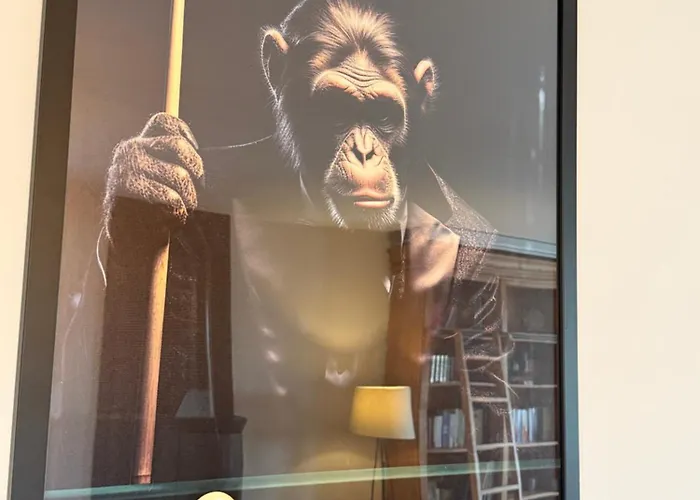 Villa Capsule Champetre Piscine Billard